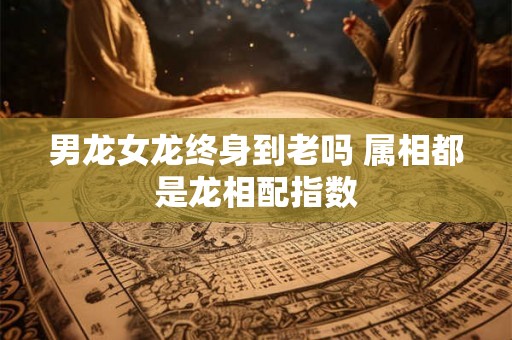 男龙女龙终身到老吗 属相都是龙相配指数