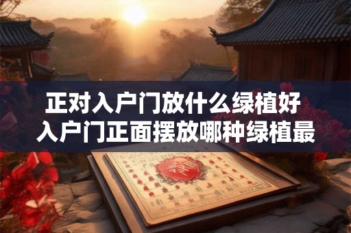 正对入户门放什么绿植好 入户门正面摆放哪种绿植最好 正对入户门放什么绿植好 入户门正面摆放哪种绿植最好