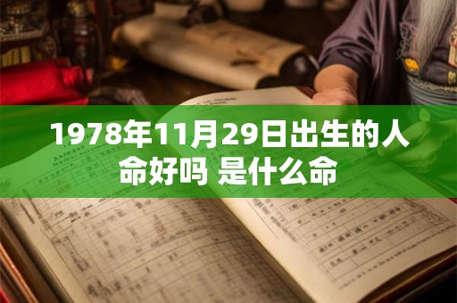 1978年11月29日出生的人命好吗 是什么命