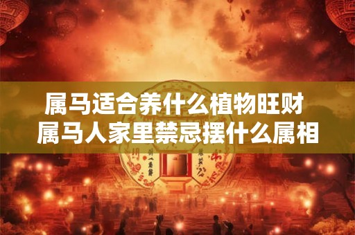 属马适合养什么植物旺财 属马人家里禁忌摆什么属相