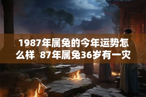 1987年属兔的今年运势怎么样  87年属兔36岁有一灾