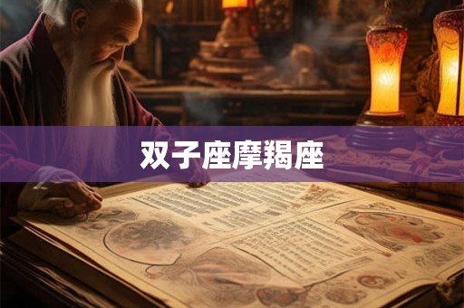 双子座摩羯座