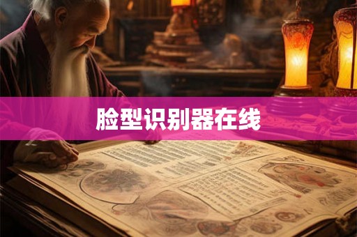 脸型识别器在线
