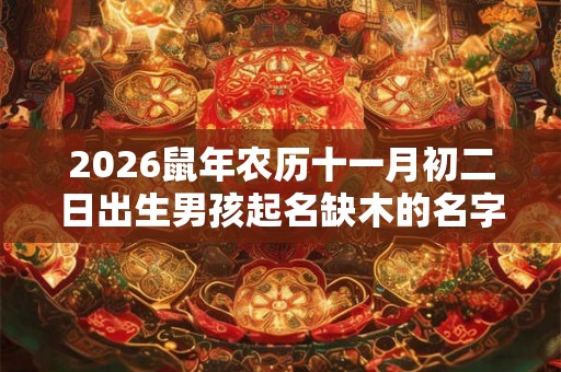 2026鼠年农历十一月初二日出生男孩起名缺木的名字