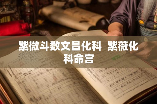 紫微斗数文昌化科  紫薇化科命宫