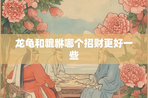龙龟和貔貅哪个招财更好一些