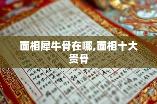 面相犀牛骨在哪,面相十大贵骨