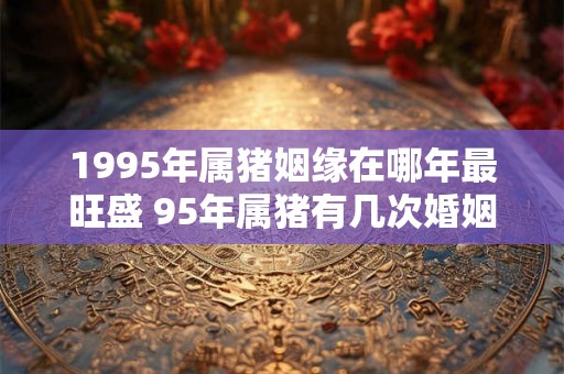 1995年属猪姻缘在哪年最旺盛 95年属猪有几次婚姻