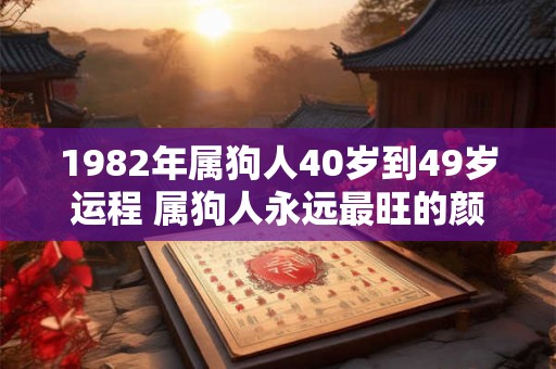 1982年属狗人40岁到49岁运程 属狗人永远最旺的颜色