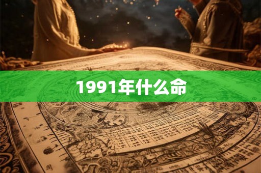 1991年什么命