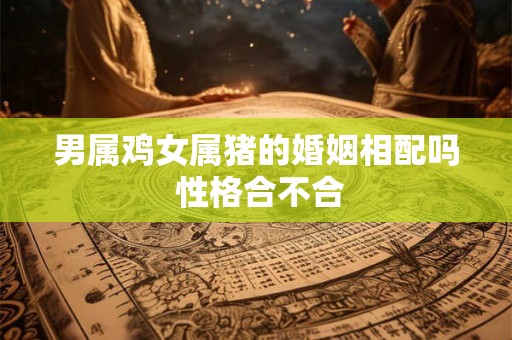 男属鸡女属猪的婚姻相配吗 性格合不合 男属鸡女属猪的婚姻相配吗 性格合不合