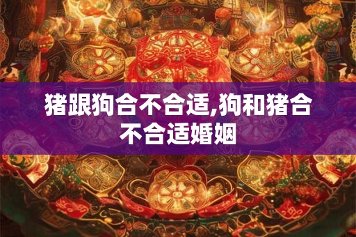 猪跟狗合不合适,狗和猪合不合适婚姻