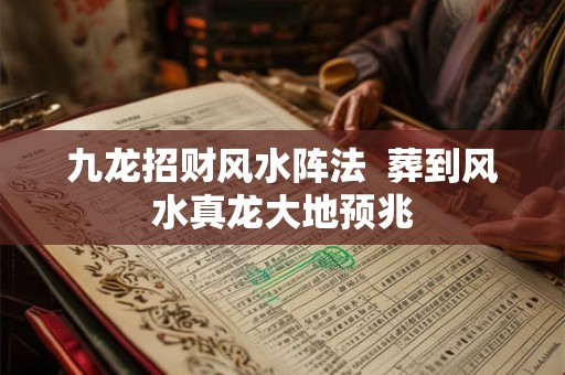 九龙招财风水阵法  葬到风水真龙大地预兆