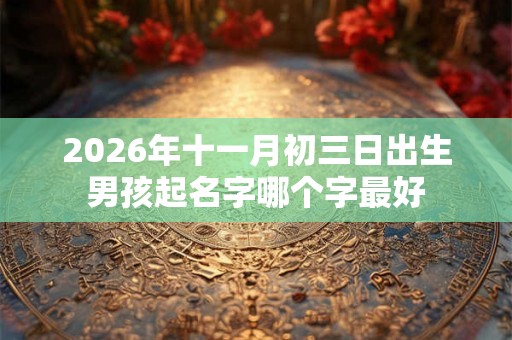 2026年十一月初三日出生男孩起名字哪个字最好