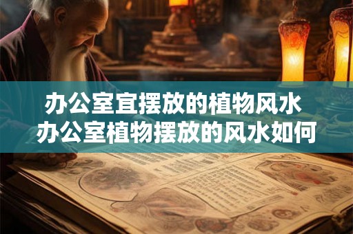 办公室宜摆放的植物风水 办公室植物摆放的风水如何