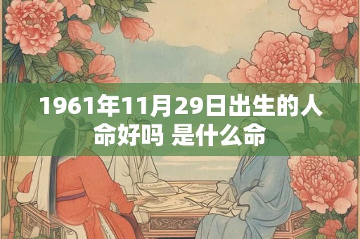 1961年11月29日出生的人命好吗 是什么命
