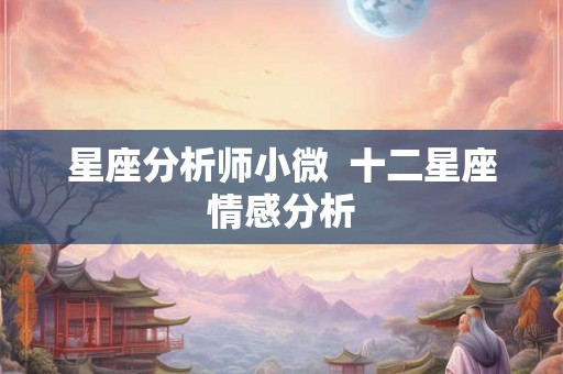 星座分析师小微  十二星座情感分析