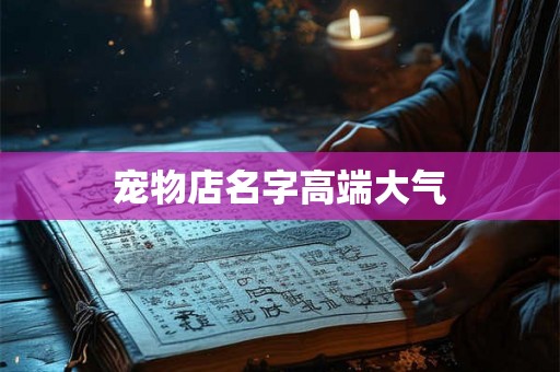 宠物店名字高端大气