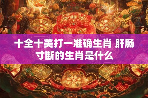 十全十美打一准确生肖 肝肠寸断的生肖是什么