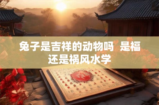 兔子是吉祥的动物吗  是福还是祸风水学