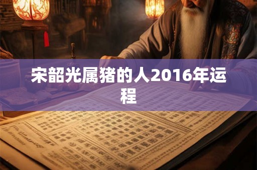 宋韶光属猪的人2016年运程
