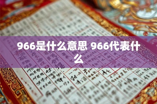 966是什么意思 966代表什么