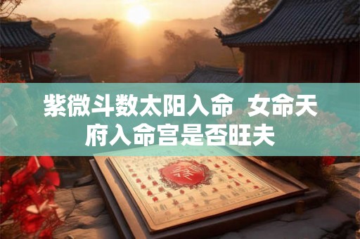 紫微斗数太阳入命  女命天府入命宫是否旺夫