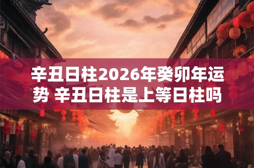 辛丑日柱2026年癸卯年运势 辛丑日柱是上等日柱吗