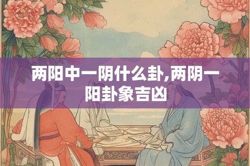 两阳中一阴什么卦,两阴一阳卦象吉凶