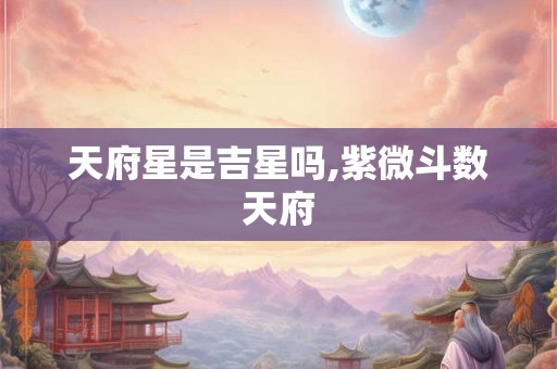 天府星是吉星吗,紫微斗数天府