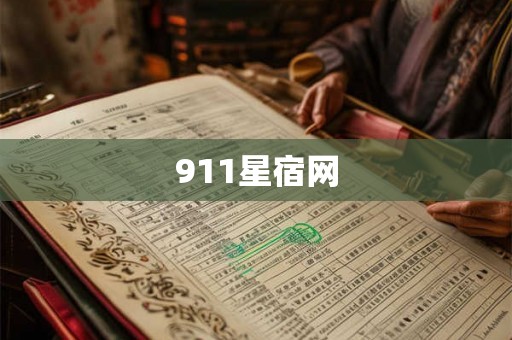911星宿网