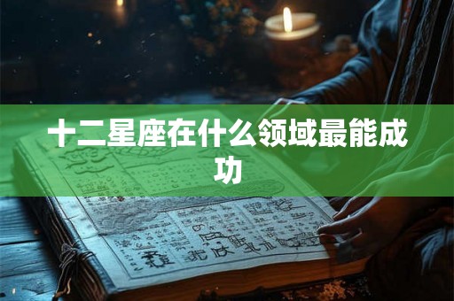 十二星座在什么领域最能成功