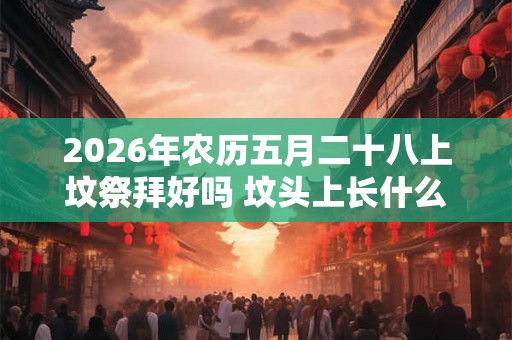 2026年农历五月二十八上坟祭拜好吗 坟头上长什么草出大官