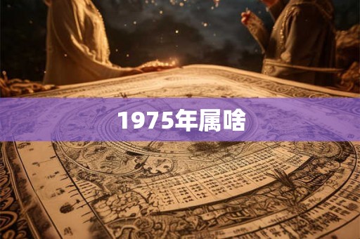 1975年属啥