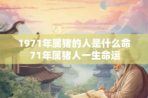 1971年属猪的人是什么命 71年属猪人一生命运 1971年属猪的人是什么命 71年属猪人一生命运