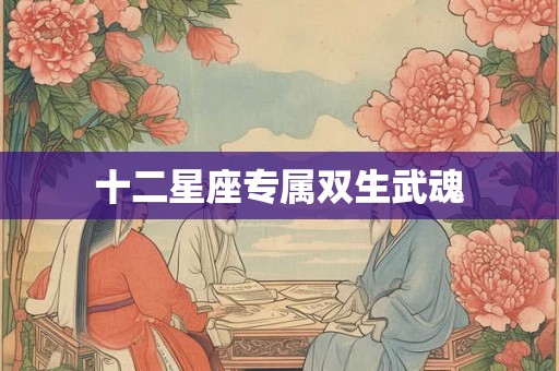十二星座专属双生武魂