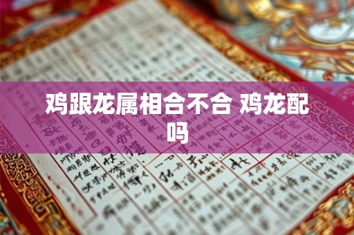 鸡跟龙属相合不合 鸡龙配吗
