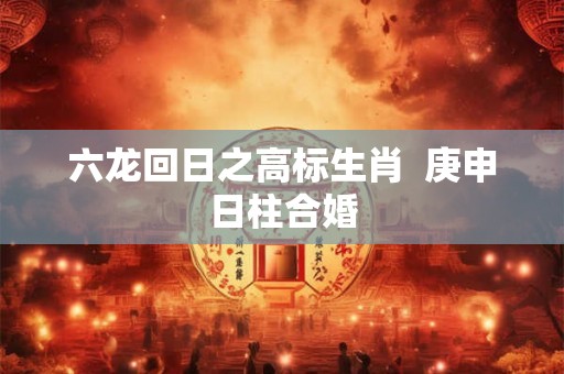 六龙回日之高标生肖  庚申日柱合婚