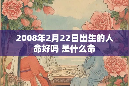 2008年2月22日出生的人命好吗 是什么命