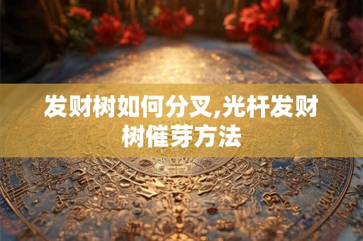 发财树如何分叉,光杆发财树催芽方法