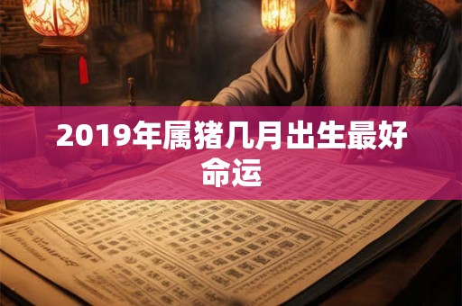 2019年属猪几月出生最好命运 2019年属猪几月出生最好命运