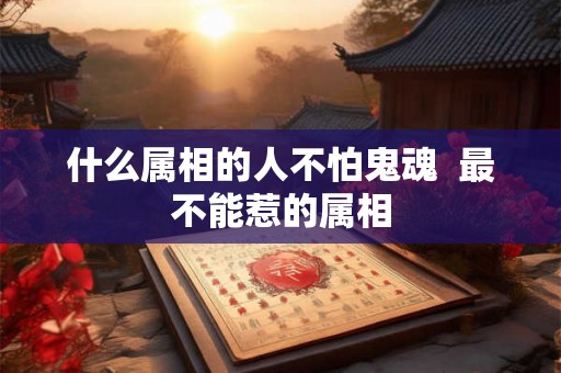 什么属相的人不怕鬼魂  最不能惹的属相