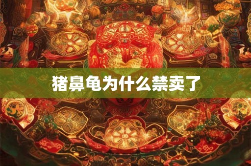 猪鼻龟为什么禁卖了