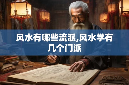 风水有哪些流派,风水学有几个门派