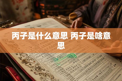 丙子是什么意思 丙子是啥意思