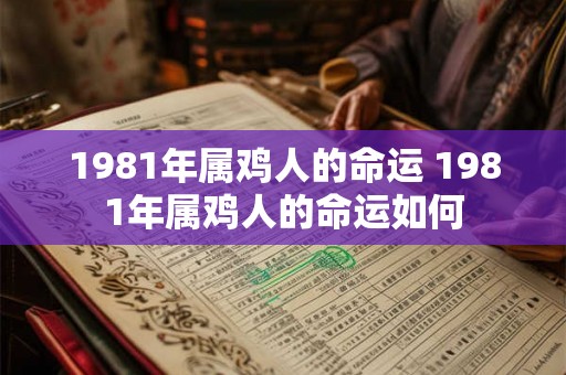 1981年属鸡人的命运 1981年属鸡人的命运如何