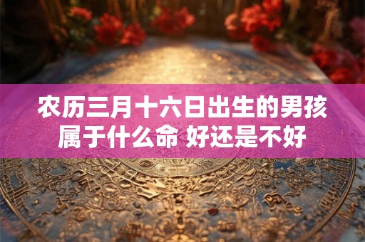 农历三月十六日出生的男孩属于什么命 好还是不好