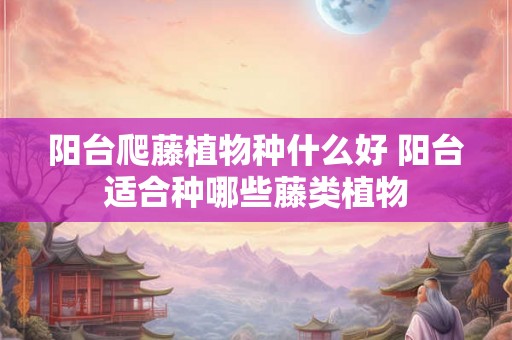 阳台爬藤植物种什么好 阳台适合种哪些藤类植物 阳台爬藤植物种什么好 阳台适合种哪些藤类植物