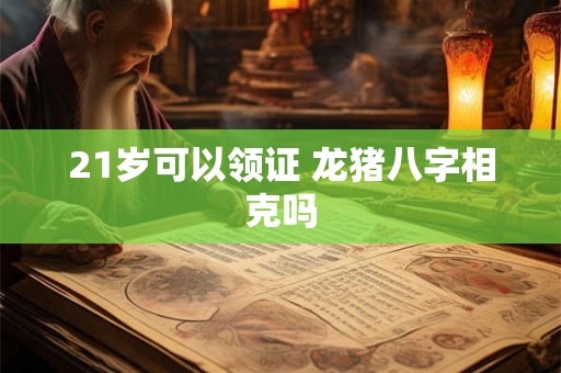 21岁可以领证 龙猪八字相克吗