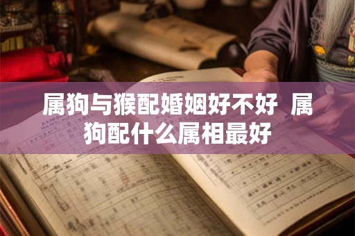 属狗与猴配婚姻好不好  属狗配什么属相最好